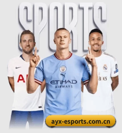 ayx-esports.com.cn五大内容板块,覆盖赛事直播与实时比分
